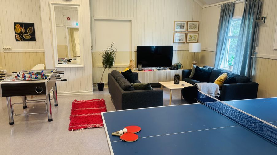 en stue med biljardbord og sofaer