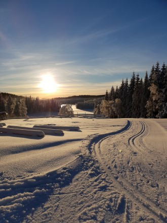 Ski vinter Ski vinter