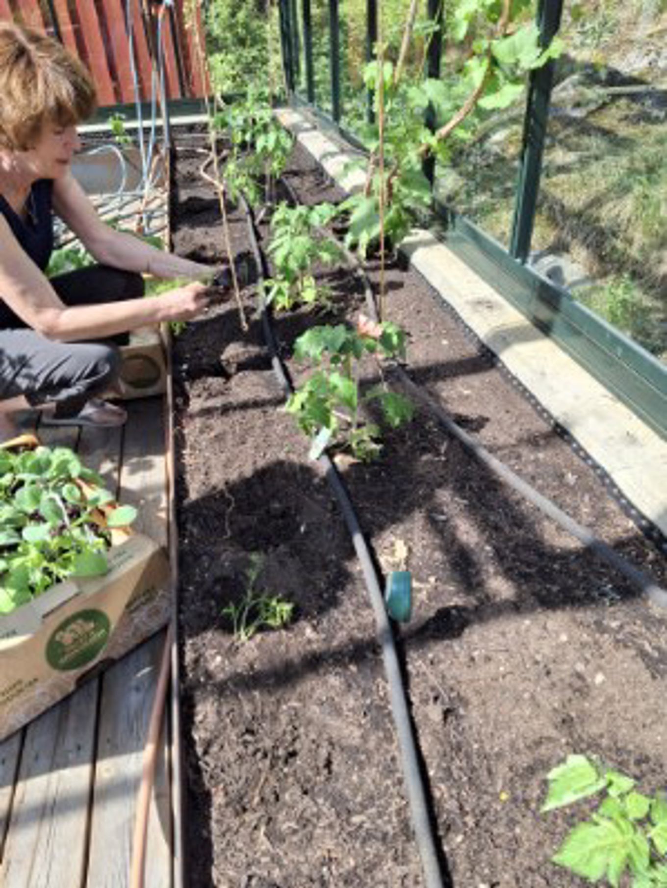 en person som jobber i en hage