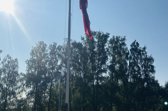 et flagg på en stang