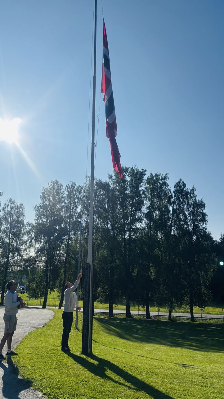 et flagg på en stang